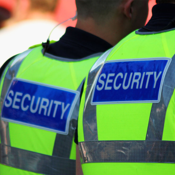 professionalising-security